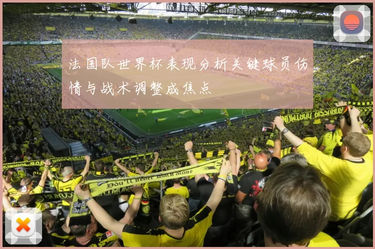 法国队世界杯表现分析关键球员伤情与战术调整成焦点