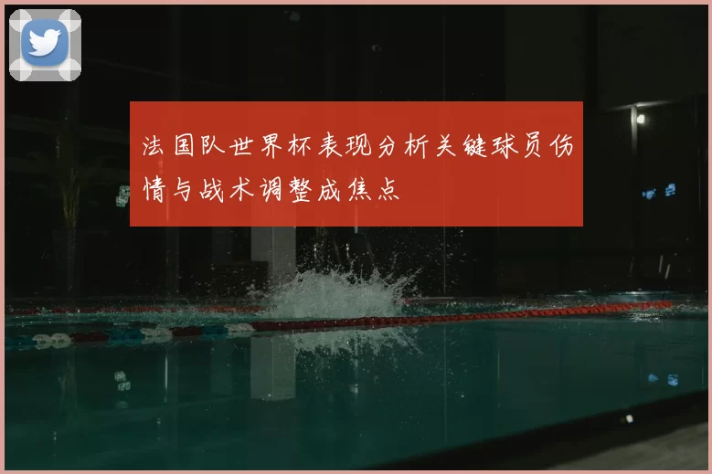 法国队世界杯表现分析关键球员伤情与战术调整成焦点