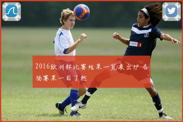 2016欧洲杯比赛结果一览表出炉 各场赛果一目了然
