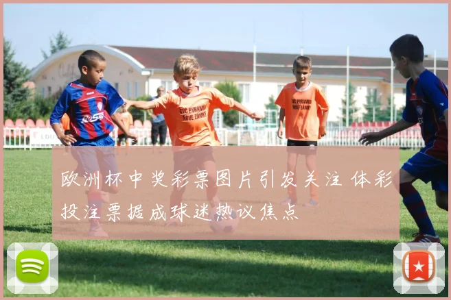 欧洲杯中奖彩票图片引发关注 体彩投注票据成球迷热议焦点
