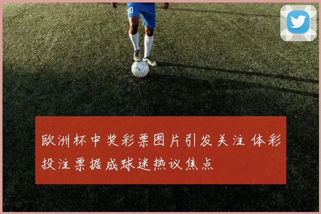 欧洲杯中奖彩票图片引发关注 体彩投注票据成球迷热议焦点