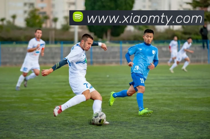 mksports - mk(中国)一站式服务体育平台生态图