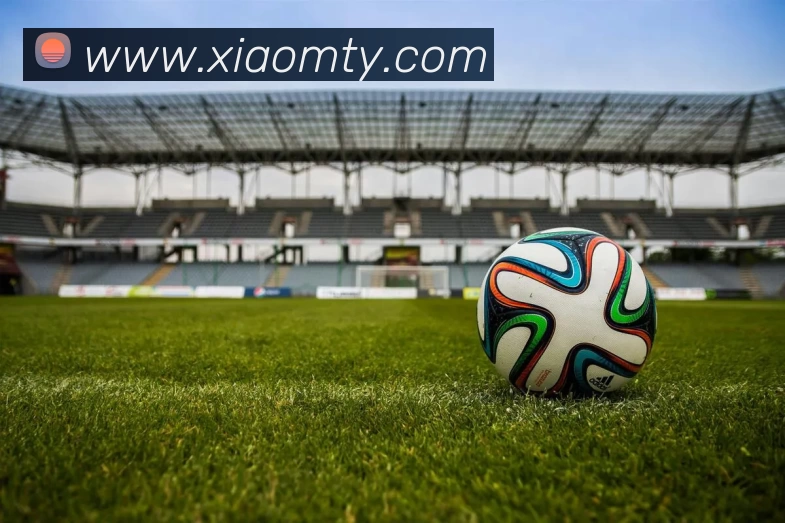 mksports - mk(中国)一站式服务体育APP 封面图